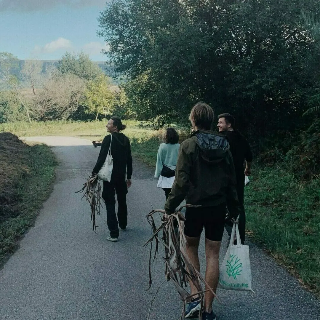 Four people walking away along a country road carrying bundles of dry stalks and an Anceu Coliving tote bag