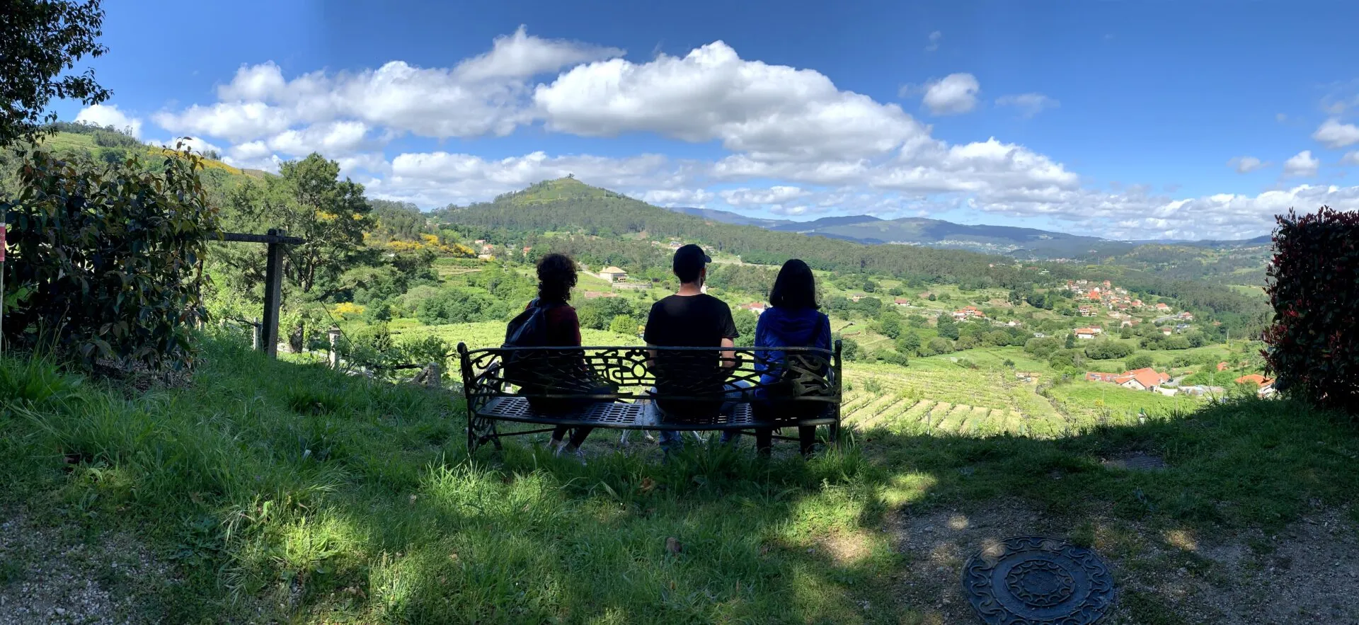 Three people seen from behind sitting on a bench looking out over green hills and vineyards under a blue sky