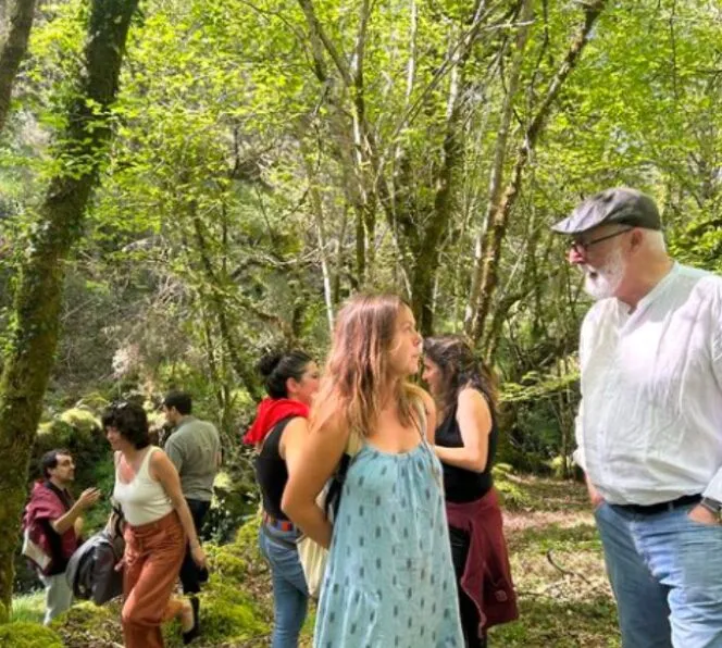 A group walking through sunlit, mossy oak woodland