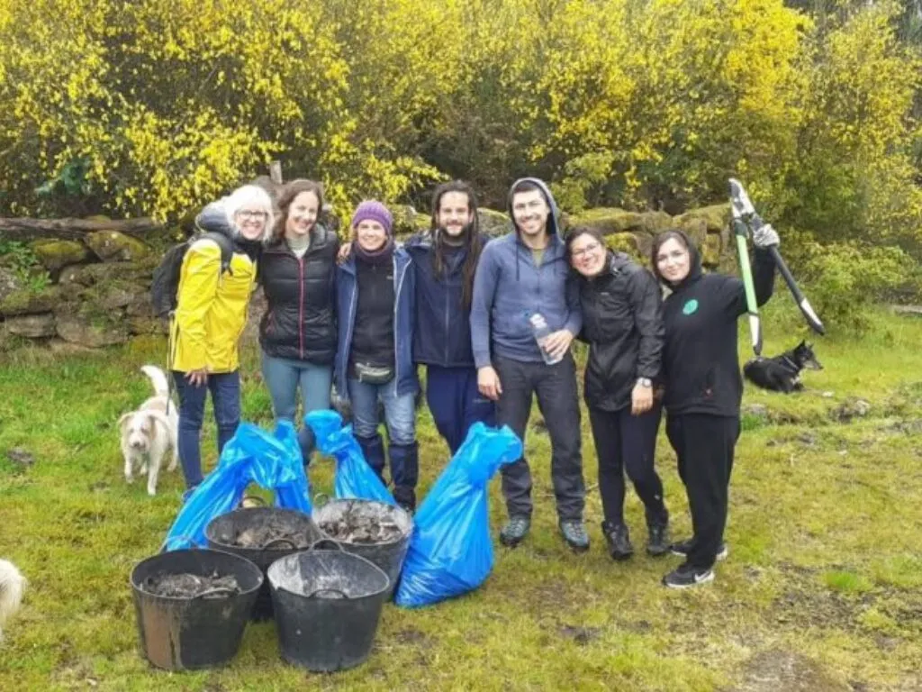 Seven people in rain jackets behind buckets and blue bags of gathered waste, two dogs and a yellow-flowering bush nearby