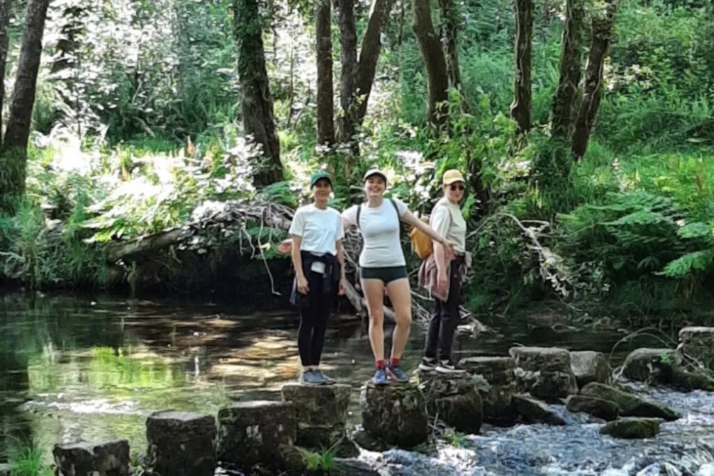 Three women standing on stepping stones across a shallow river in a sunlit green wood