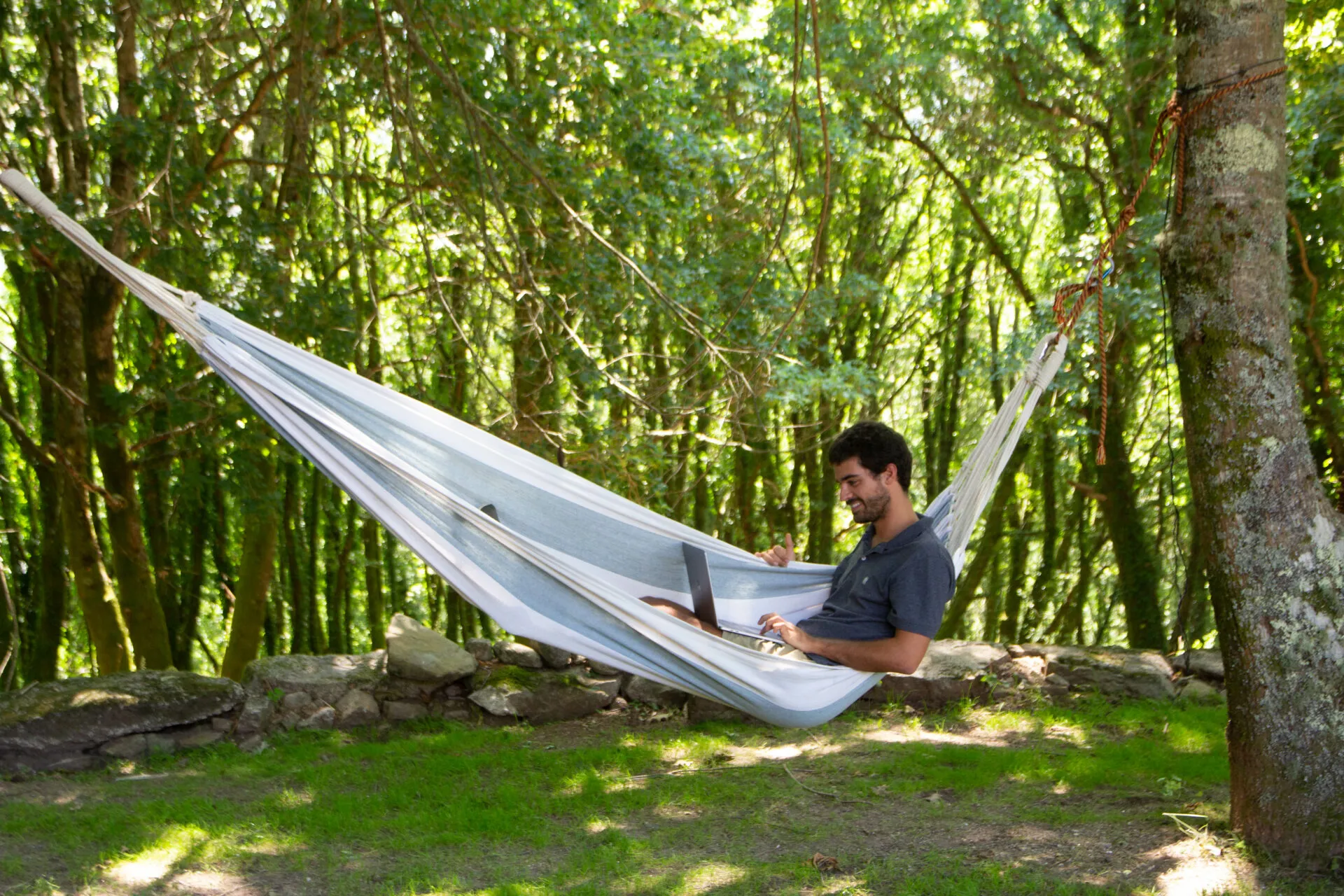 A man working on a laptop in a hammock slung between trees in a sunlit wood