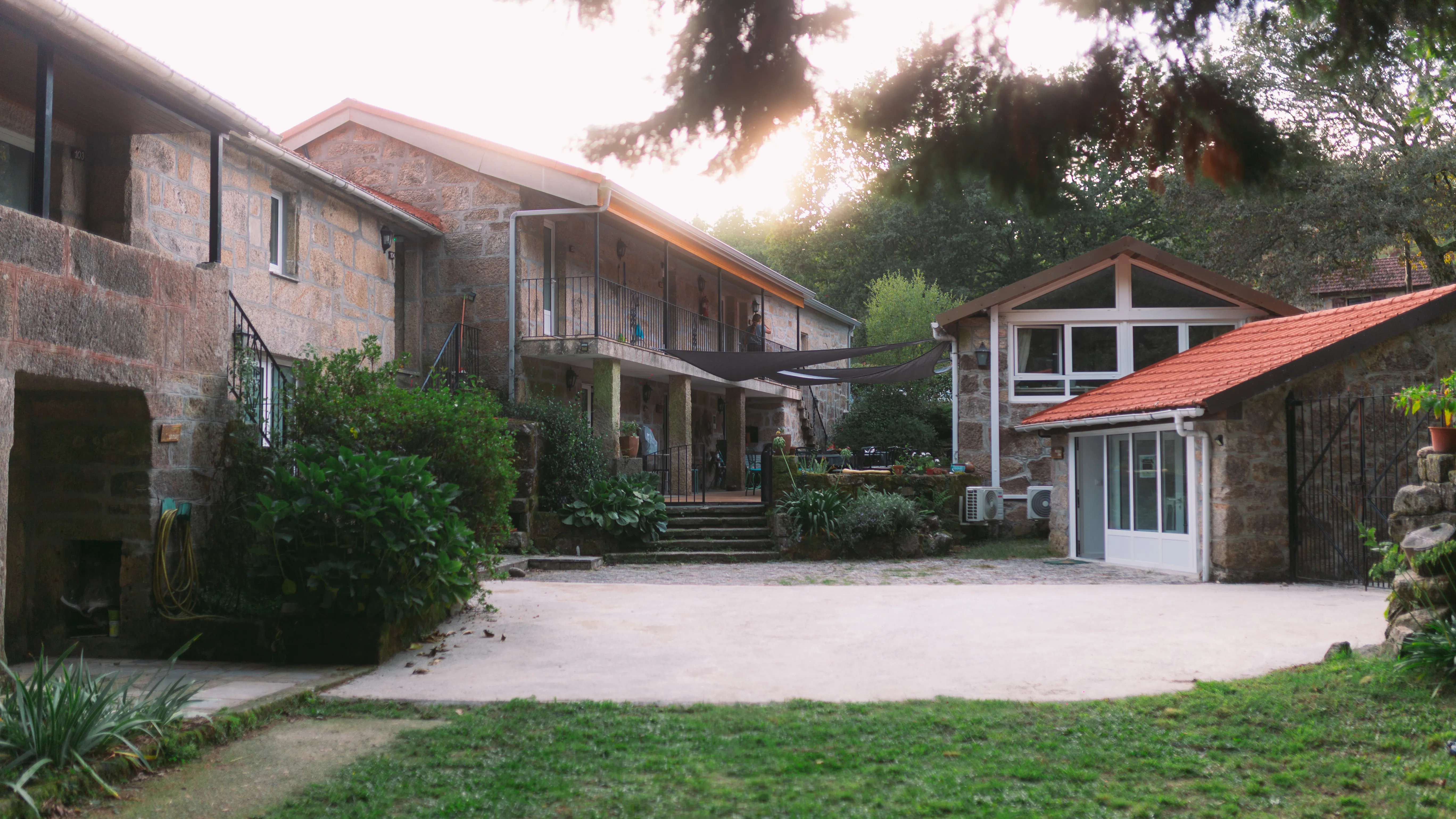 The houses among the trees