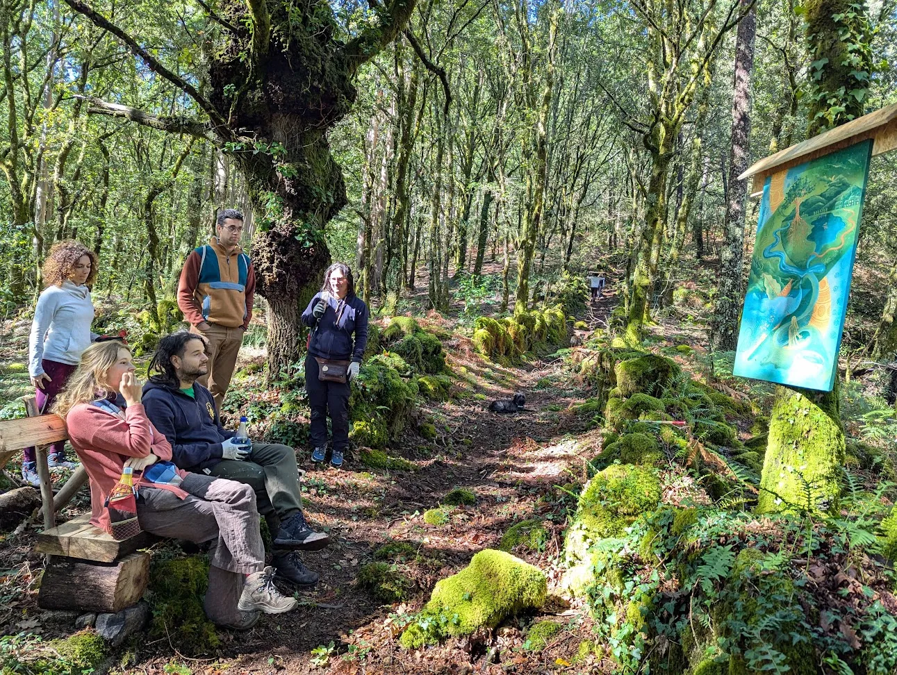 People resting on a bench beside a mossy forest path where an illustrated map poster hangs from a wooden post