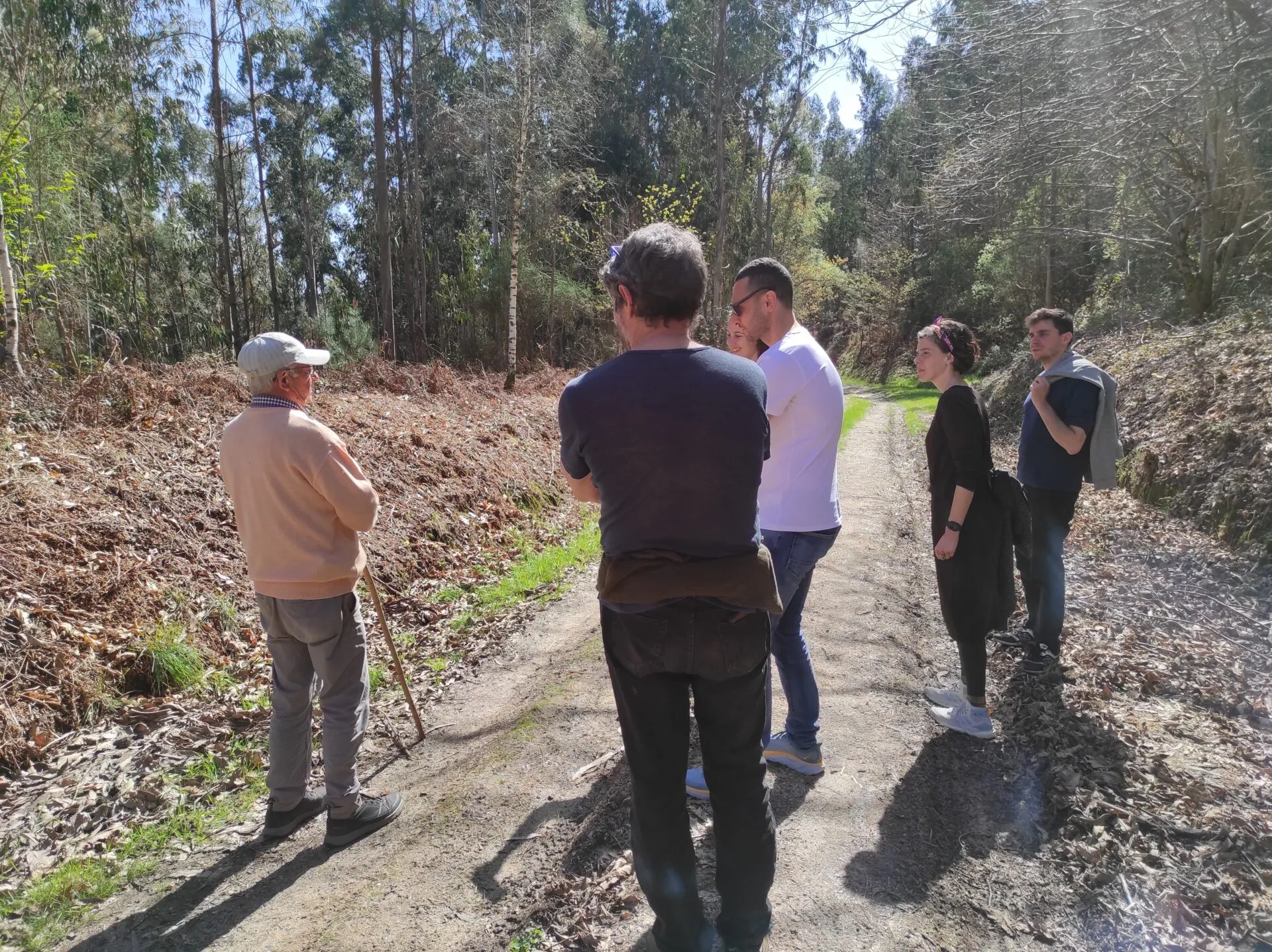 Older man in a white cap leaning on a stick talking with five visitors on a sunlit forest track