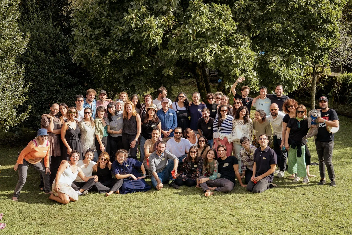 A large group of about fifty people posing on a lawn under a big tree, some sitting and some standing