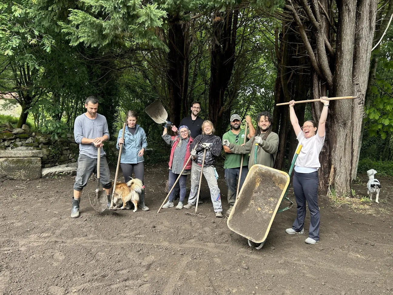 Eight volunteers posing with shovels, rakes and a wheelbarrow on freshly dug earth under tall trees, two dogs nearby